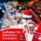 80 Pcs Christmas Dog Collar with Bow Snowman Snowflake Christmas Tree Pet Bowtie Collar Adjustable Xmas Cat Puppy Basic Neckties for Christmas Winter Holiday Pet Bow Grooming Accessories